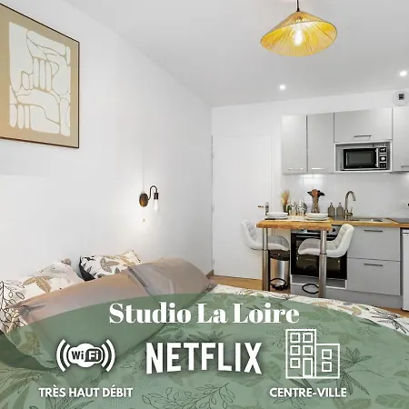 Apartmán Centre-ville - Fibre - Netflix - La Loire *