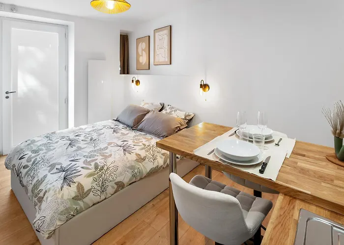 Centre-ville - Fibre - Netflix - La Loire Apartman