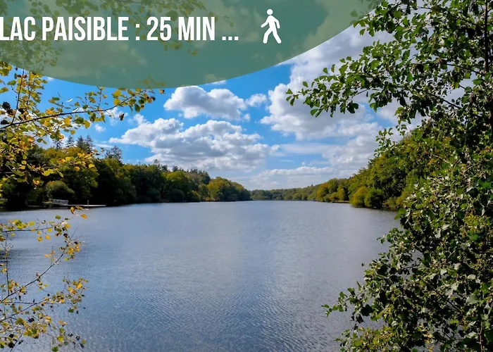 Centre-ville - Fibre - Netflix - La Loire *